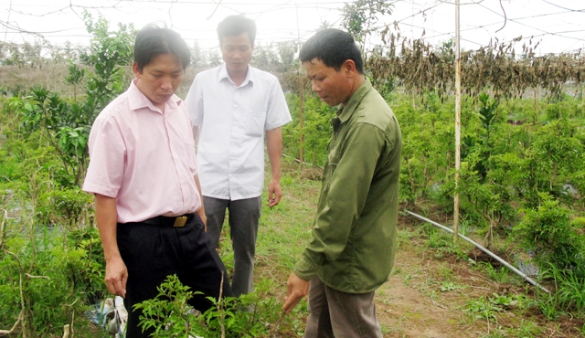 Huyện Xuân Trường Tỉnh Nam Định đưa nghị quyết vào cuộc sống để trở thành huyện nông thôn mới